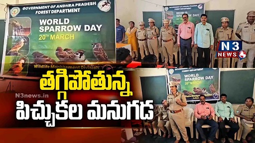 తగ్గిపోతున్న పిచ్చుకల మనుగడ